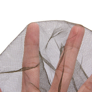 Mosquito Head Mesh