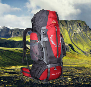 Long Journey 85L Backpacking Bag